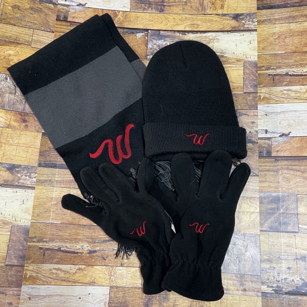 winter picks
