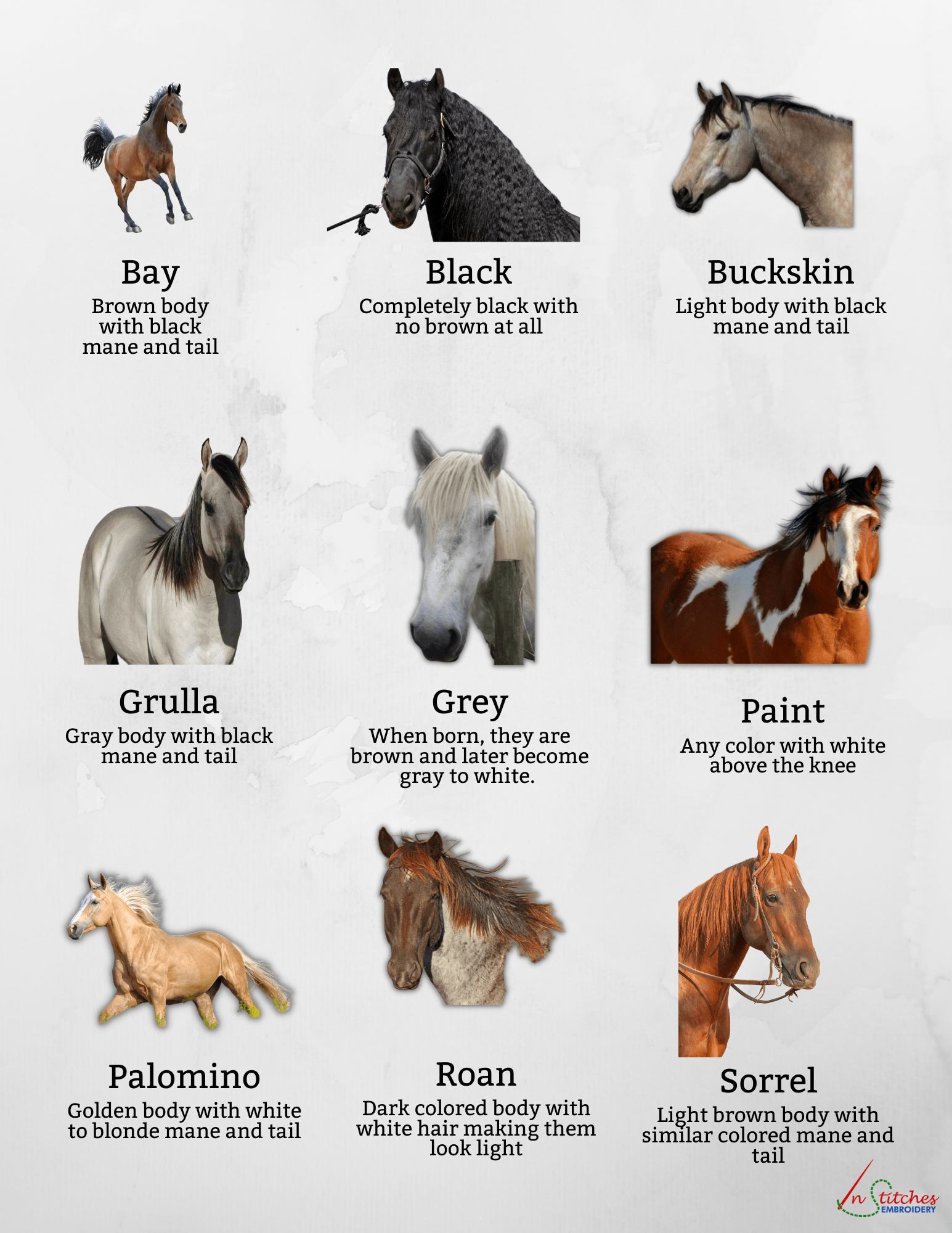 horse colors