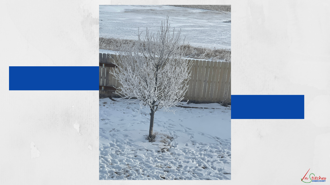 winter