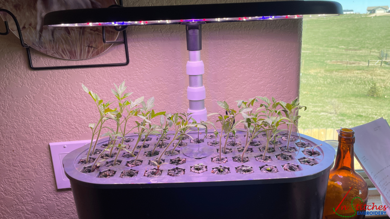 Aerogarden with Seed Starting Plate